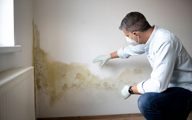 Appartement avec des problèmes d'humidité avant rénovation